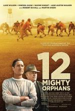Watch 12 Mighty Orphans Merdb