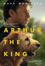 Arthur the King merdb