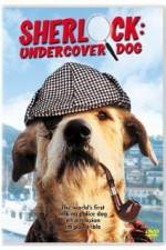 Watch Sherlock Undercover Dog Merdb