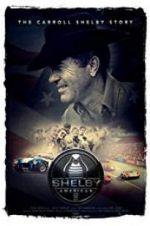 Watch Shelby American Merdb