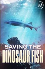 Watch Saving the Dinosaur Fish Merdb