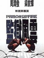 Watch Prison on Fire Merdb