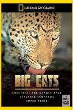 Watch National Geographic: Living With Big Cats Merdb