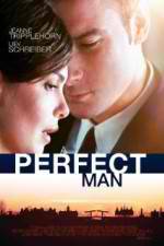 Watch A Perfect Man Merdb