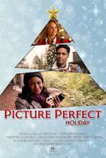 Watch A Picture Perfect Holiday Merdb