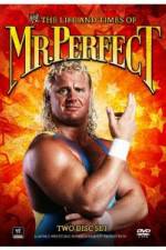 Watch The Life and Times of Mr Perfect Merdb