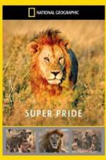 Watch National Geographic: Super Pride Africa\'s Largest Lion Pride Merdb