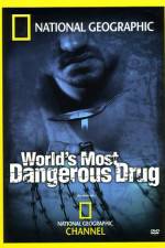Watch Worlds Most Dangerous Drug Merdb