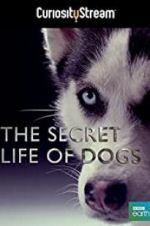 Watch Secret Life of Dogs Merdb