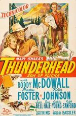 Watch Thunderhead: Son of Flicka Merdb