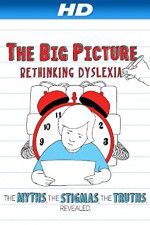 Watch The Big Picture Rethinking Dyslexia Merdb