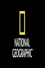 Watch National Geographic Wild Animal Attacks On Vacation Merdb