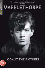 Watch Mapplethorpe: Look at the Pictures Merdb