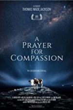 Watch A Prayer for Compassion Merdb