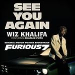 Watch Wiz Khalifa Ft. Charlie Puth: See You Again Merdb
