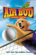 Watch Air Bud Spikes Back Merdb