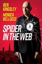 Watch Spider in the Web Merdb