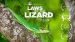 Watch Laws of the Lizard Merdb