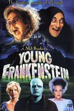 Watch Young Frankenstein Merdb