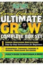 Watch Jorge Cervantes Ultimate Grow Complete Box Set Merdb