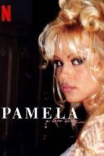 Watch Pamela, a Love Story Merdb