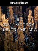 Watch Life 2,000 Meters Under the Sea Merdb