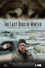 Watch The Last Dogs of Winter Merdb