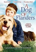 Watch A Dog of Flanders Merdb