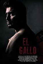 Watch El Gallo Merdb