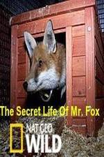 Watch The Secret Life of Mr. Fox Merdb
