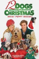 Watch 12 Dogs of Christmas Great Puppy Rescue Merdb