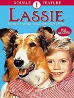 Watch Lassie: A New Beginning Merdb