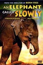 Watch An Elephant Called Slowly Merdb