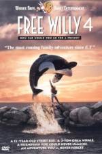 Watch Free Willy Escape from Pirate's Cove Merdb