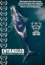 Watch Entangled: The Race to Save Right Whales from Extinction Merdb