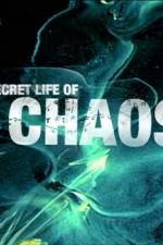 Watch The Secret Life of Chaos Merdb