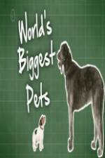 Watch World's Biggest Pets Merdb