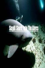 Watch National Geographic Wild Sixgill Shark Into The Abyss Merdb