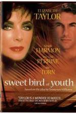 Watch Sweet Bird of Youth M4ufree