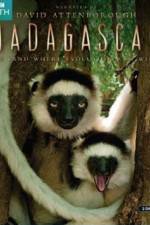 Watch Madagascar Island of Marvels Merdb