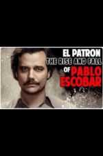 Watch The Rise and Fall of Pablo Escobar Merdb