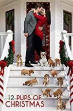 Watch 12 Pups of Christmas Merdb