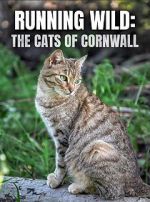Watch Running Wild: The Cats of Cornwall (TV Special 2020) Merdb