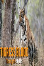 Watch Discovery Channel-Tigress Blood Merdb
