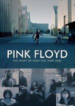 Watch Pink Floyd: The Story of Wish You Were Here Merdb