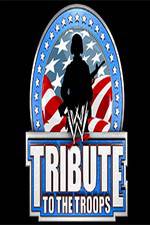 Watch WWE Tribute to the Troops Merdb