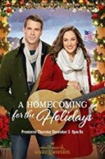Watch A Homecoming for the Holidays Merdb