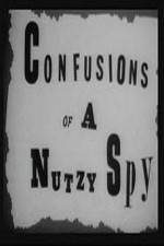 Watch Confusions of a Nutzy Spy Merdb