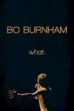 Watch Bo Burnham: what. Merdb