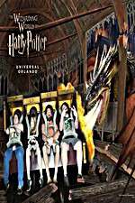 Watch Harry Potter and the Forbidden Journey Merdb